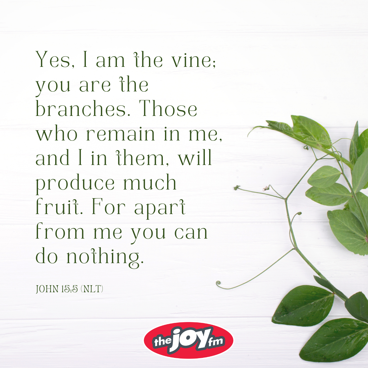 John 15:5