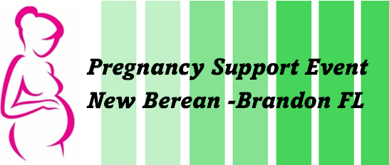 Pregnancy Support Logo